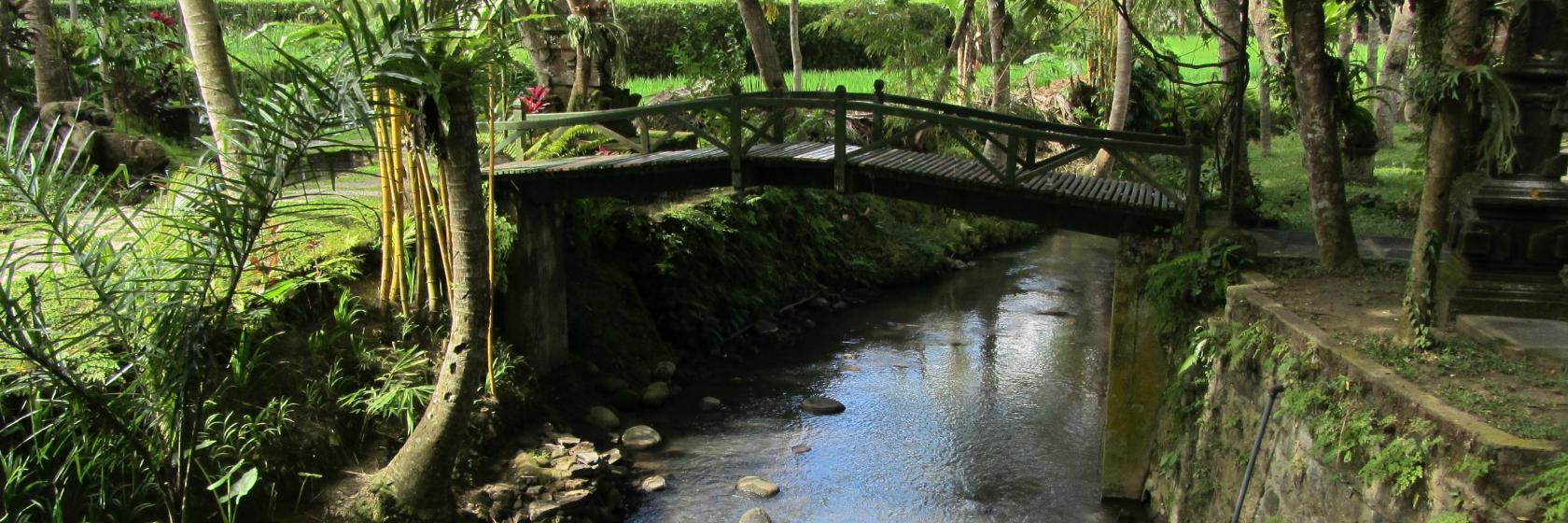 Museo de Arte Angung Rai